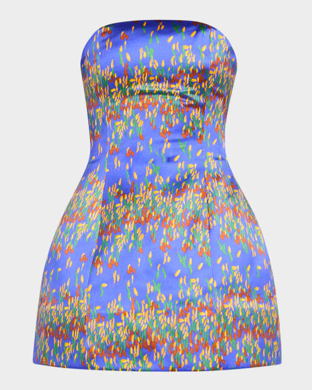Strapless Bustier Silk Mini Dress